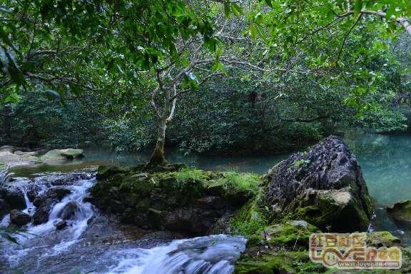 最新路况：贵州多处高速公路实行交通管制